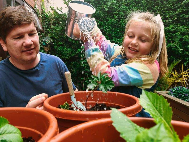 コミュニティガーデンのための季節ごとの植え付けワークフロー